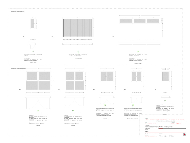 Proyecto de Construcción - Carolina Hernández Olmos