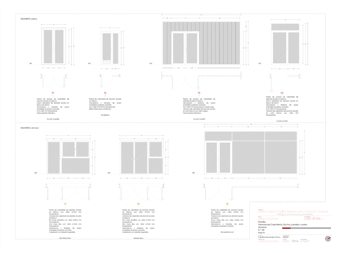Proyecto de Construcción - Carolina Hernández Olmos
