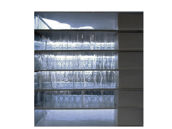 Tienda de Prada - Carolina Hernández Olmos