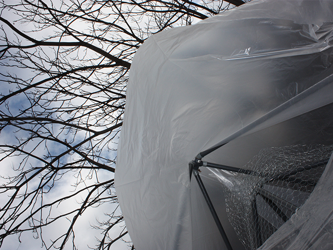 Tienda de Prada - Carolina Hernández Olmos