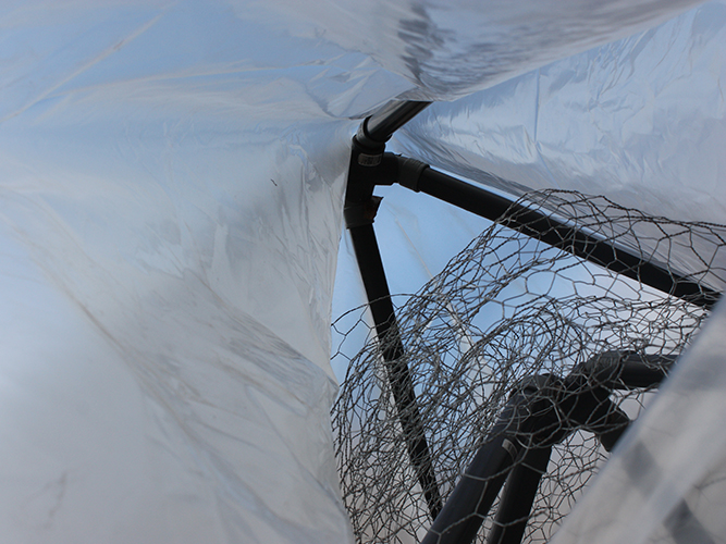 Tienda de Prada - Carolina Hernández Olmos